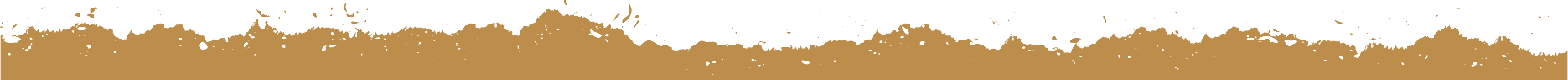 bottom_brown