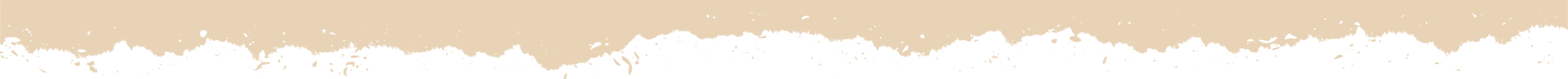 bottom_dark